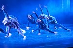 IMG_0285