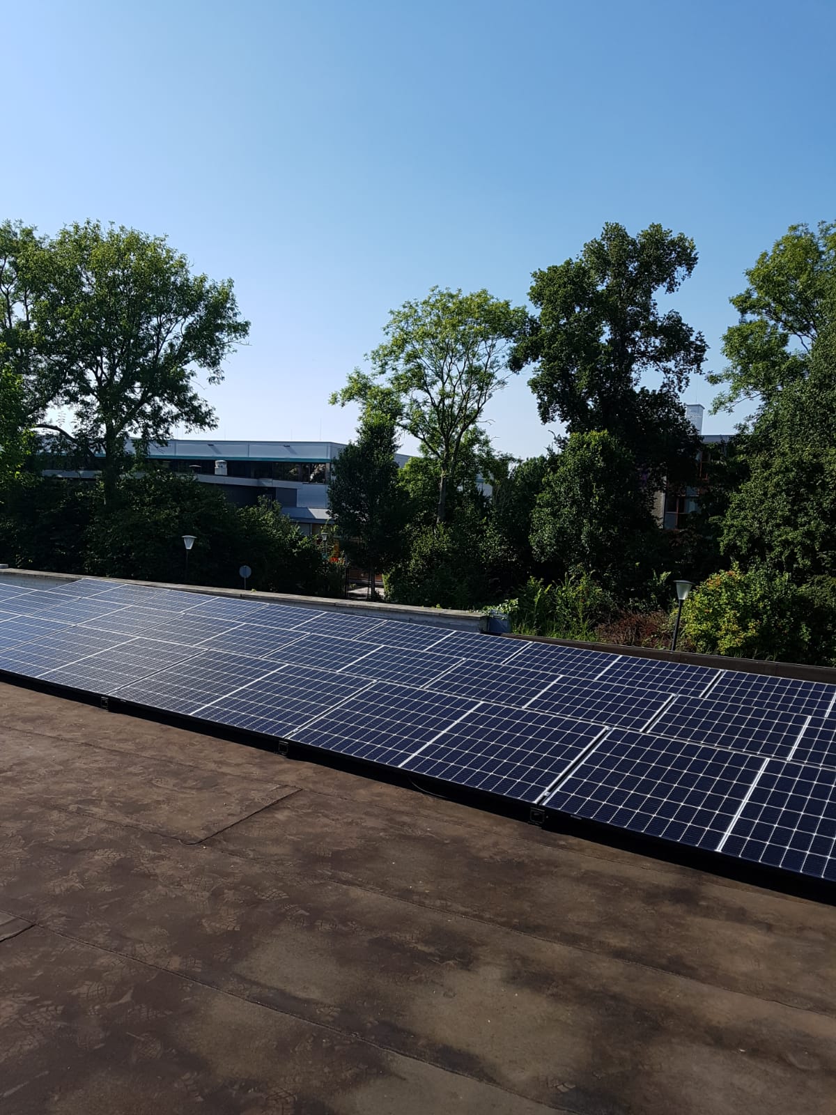 De Balletschool weer een stukje groener en duurzamer!