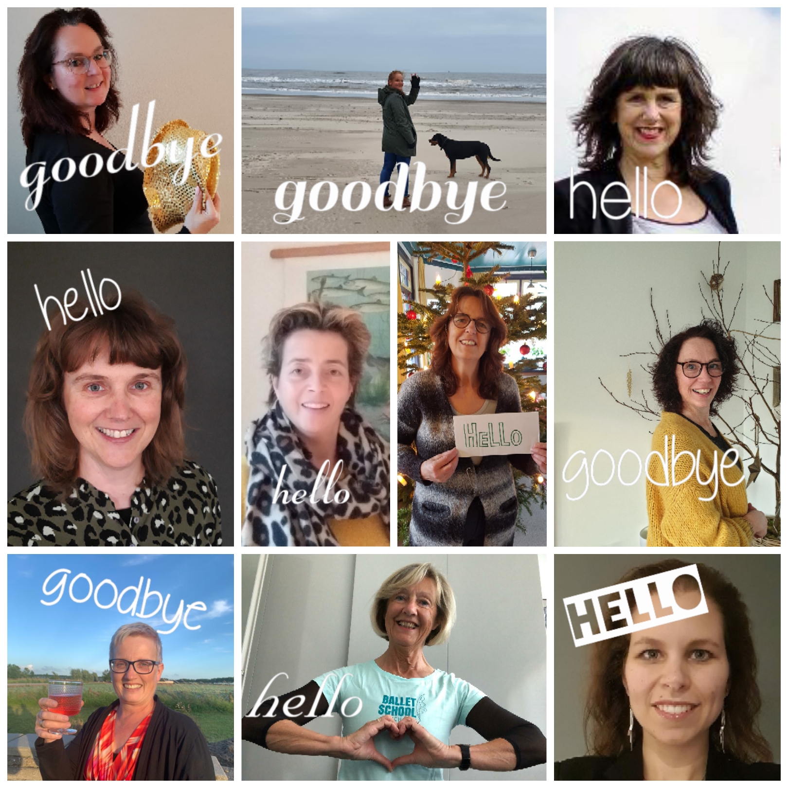 Bericht van het bestuur Hello-Goodbye