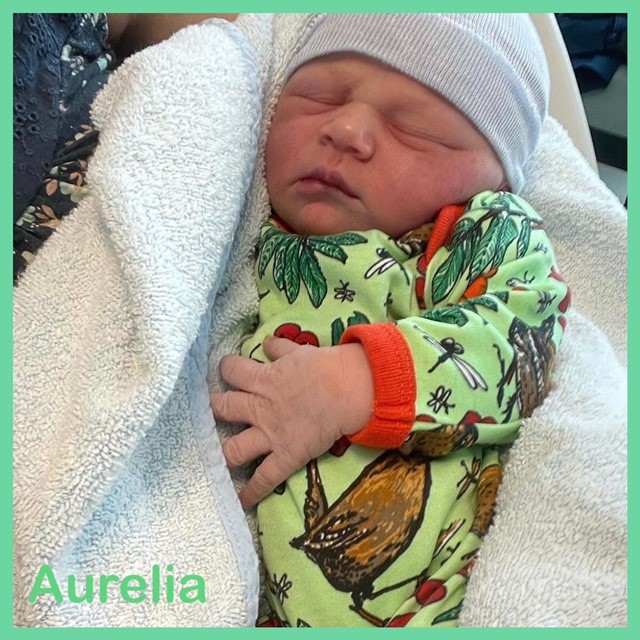 Aurelia... 27 september 2021... 