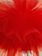 20260420_115124.jpg rose